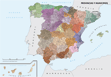 Organización local: municipios y provincias